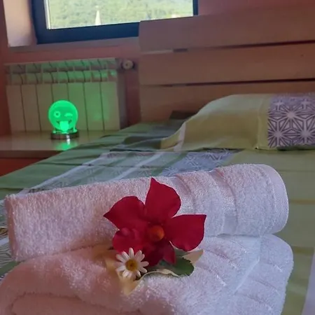 Διαμέρισμα Apartma Mimi