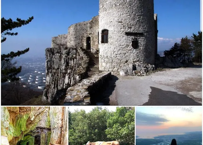 Appartement Apartma Mimi Dekani